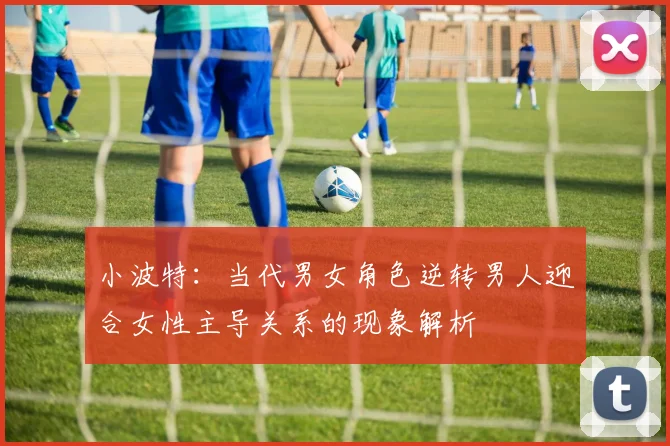 小波特：当代男女角色逆转男人迎合女性主导关系的现象解析